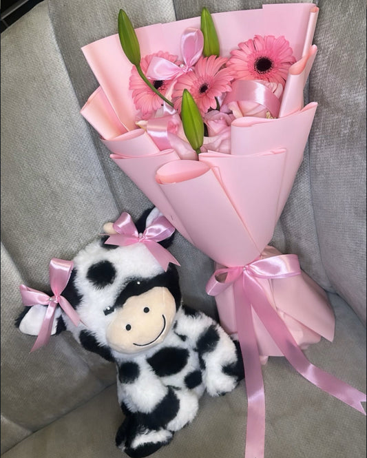 Vaquita Pink Set 🐮🌸