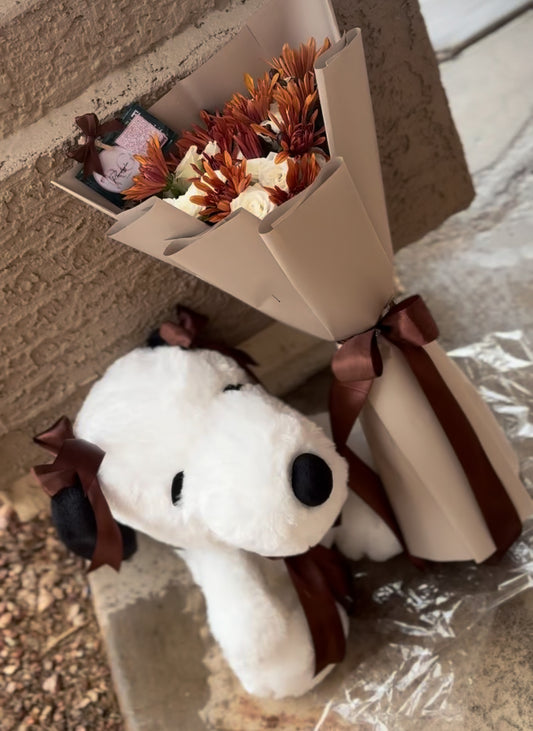 Snoopy Fall Set 🤎🐶